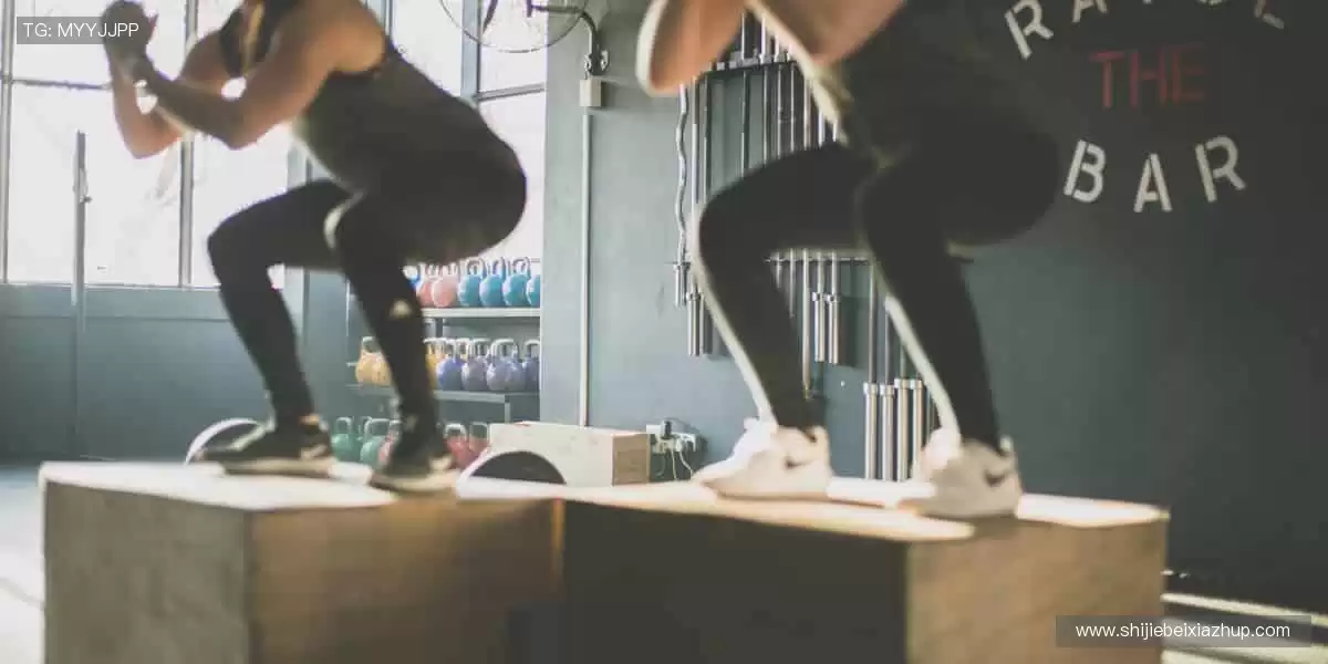 指尖轻点，赛事同步！📱